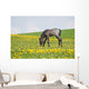 Little Foal Field
