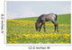 Little Foal Field