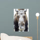 Moose face covered in snow;Yukon canada Wall Mural