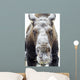 Moose face covered in snow;Yukon canada Wall Mural