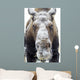 Moose face covered in snow;Yukon canada Wall Mural