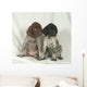 Bracco GERMAN KURZHHAR, PUPPIES Wall Mural