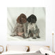 Bracco GERMAN KURZHHAR, PUPPIES Wall Mural