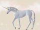 The Last Unicorn Wall Mural