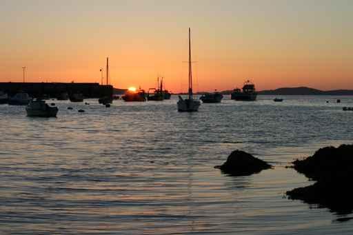 Sunset Wall Decal Design 16