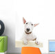 Miniature Bull Terrier Wall Decal