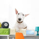 Miniature Bull Terrier Wall Decal