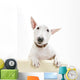 Miniature Bull Terrier Wall Decal