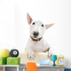Miniature Bull Terrier Wall Decal