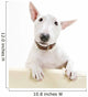 Miniature Bull Terrier Wall Decal
