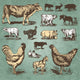 Farm Animals Vintage Set
