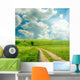 Summer Landscape With Green Grass Wall Mural