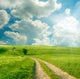 Summer Landscape With Green Grass Wall Mural