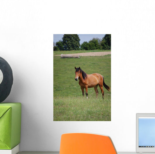 Horse Pasture Wall Decal
