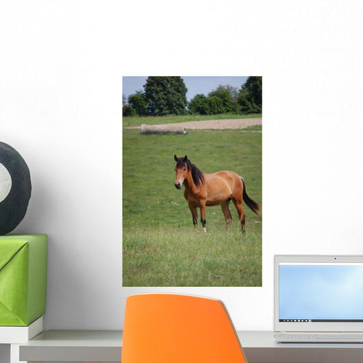 Horse Pasture Wall Decal