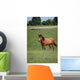 Horse Pasture Wall Decal