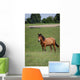 Horse Pasture Wall Decal