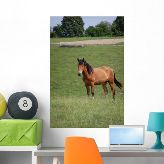 Horse Pasture Wall Decal