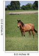 Horse Pasture Wall Decal