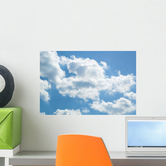 Sky Wall Mural
