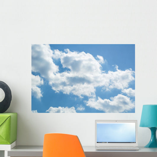 Sky Wall Mural