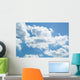 Sky Wall Mural