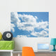 Sky Wall Mural