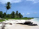 Saona Island Wall Decal