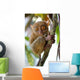 Tarsier Wall Mural