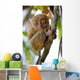 Tarsier Wall Mural