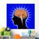 Human Brain and Pituitary Wall Mural