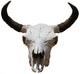 Southwest Icon Wall Decal
