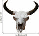 Southwest Icon Wall Decal