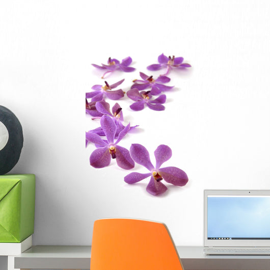 Pink orchid on white Wall Decal