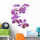 Pink orchid on white Wall Decal