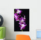 Bright Pink Orchid Black