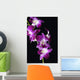 Bright Pink Orchid Black