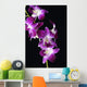 Bright Pink Orchid Black
