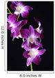 Bright Pink Orchid Black