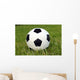 Fussball Wall Mural