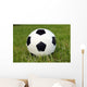 Fussball Wall Mural