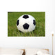Fussball Wall Mural