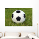 Fussball Wall Mural
