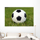 Fussball Wall Mural