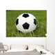 Fussball Wall Mural