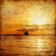 Tropical Sunset Retro Styled Wall Decal