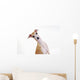 Yellow Italian Greyhound Wall Mural