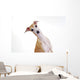 Yellow Italian Greyhound Wall Mural