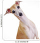 Yellow Italian Greyhound Wall Mural