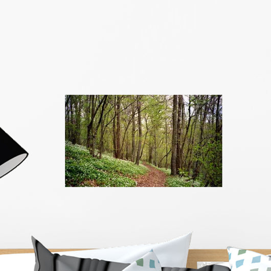 Forest Walk Wall Decal